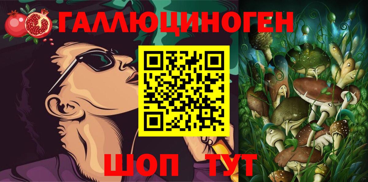 Псилоцибиновые грибы GOLDEN TEACHER Кольчугино